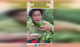 娱乐吃瓜酱大叔免费阅读,免费阅读带你领略娱乐圈风云变幻