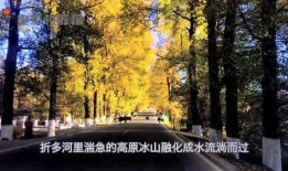 娱乐吃瓜君2,揭秘娱乐圈背后的秘密与八卦