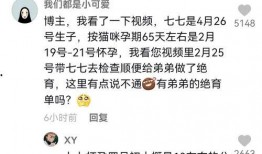 娱乐吃瓜君大型双标,大型双标盛宴，揭秘娱乐圈真相与偏见