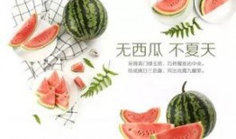 吃瓜娱乐酱文化,揭秘吃瓜娱乐酱文化的魅力与影响