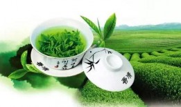 娱乐吃瓜酱绿茶,绿茶与吃瓜酱的幕后故事