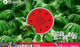 吃瓜娱乐封面怎么做的图片,吃瓜娱乐封面图片制作全解析