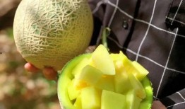 娱乐吃瓜酱吃瓜,吃瓜酱带你领略明星幕后故事