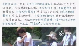 过度解读娱乐吃瓜酱