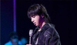 娱乐圈吃瓜华晨宇是谁,娱乐圈吃瓜界的焦点人物