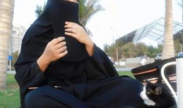 娱乐吃瓜君2,揭秘娱乐圈背后的秘密与八卦