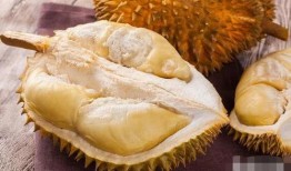 娱乐吃瓜酱200块榴莲,200元榴莲背后的娱乐圈吃瓜大揭秘