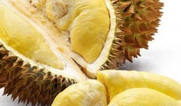 娱乐吃瓜酱200块榴莲,200元榴莲背后的娱乐圈吃瓜大揭秘